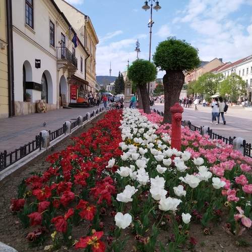 Photo #10659430