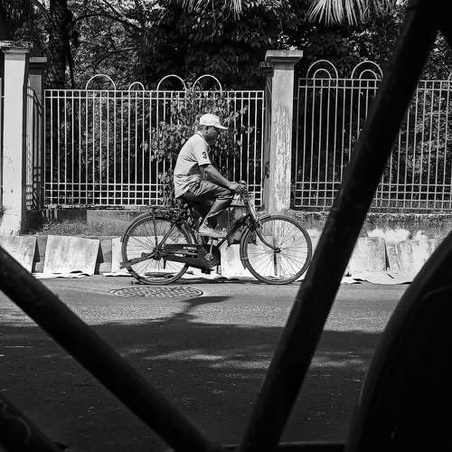 Photo #10659434