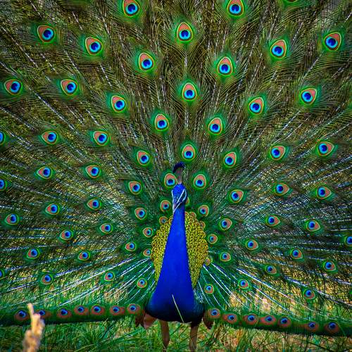 Photo #10659481