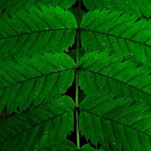 Photo #10659504