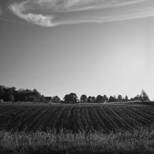 Photo #10659660