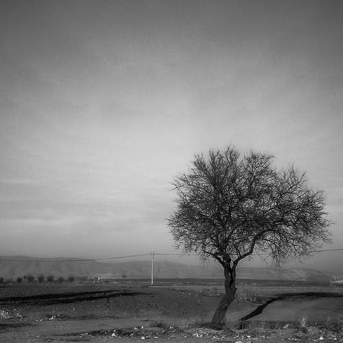Photo #10659677