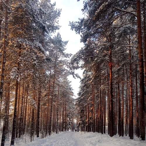 Photo #10660005