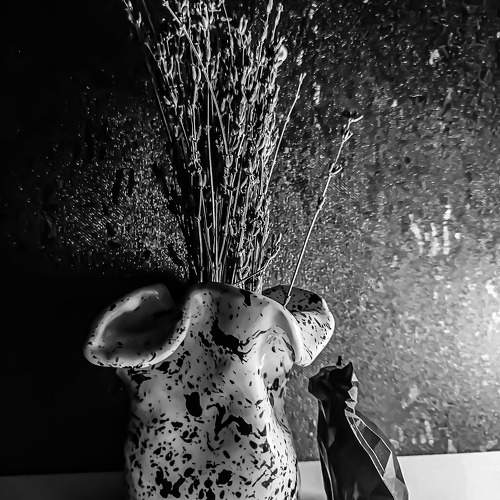 Photo #10660006