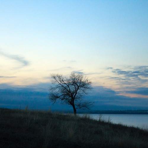 Photo #10660127