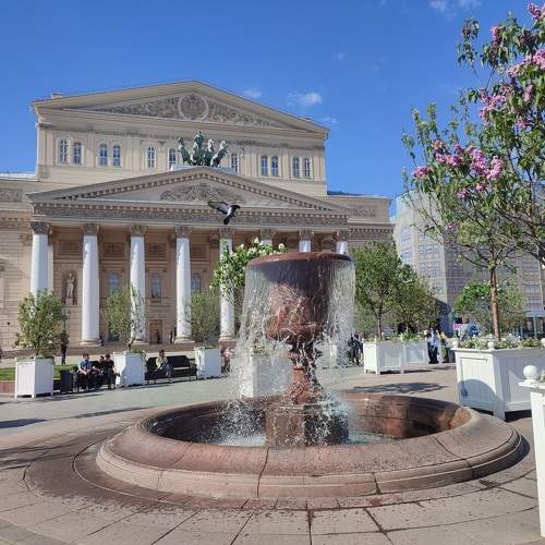 Photo #10660393