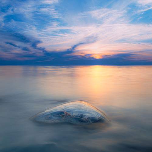 Photo #10660459