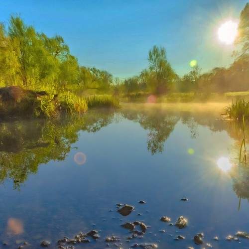 Photo #10660512