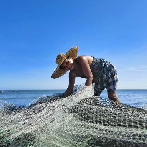 Photo #10660627