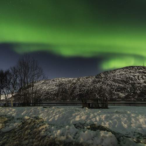 Фотография #10660666