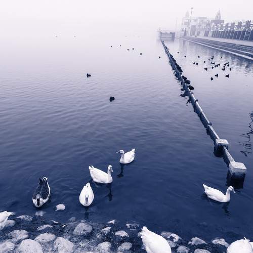 Photo #10660796