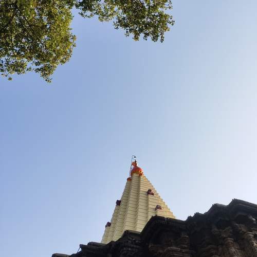 Photo #10660918