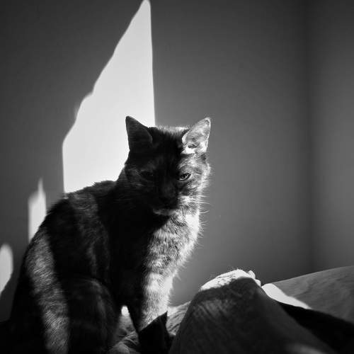 Photo #10660921