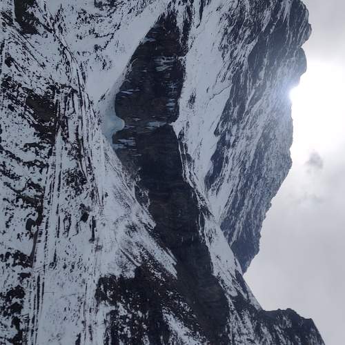 Photo #10660925