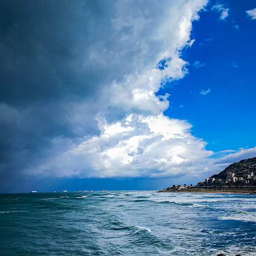 Photo #10661029