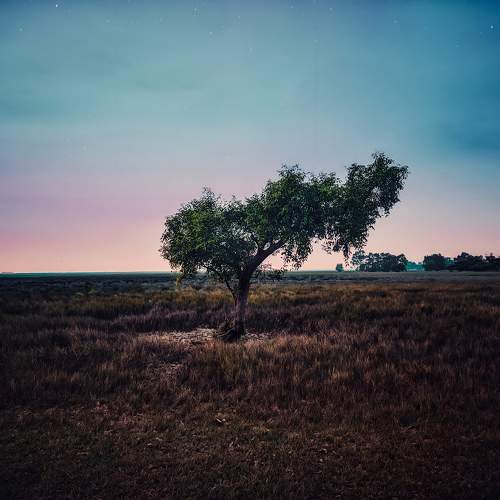 Photo #10661133