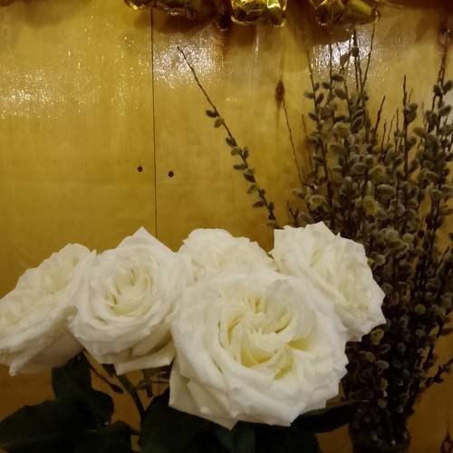 Photo #10661239