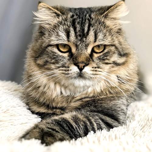 Photo #10661495