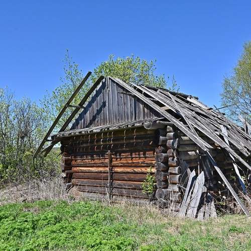 Photo #10661629