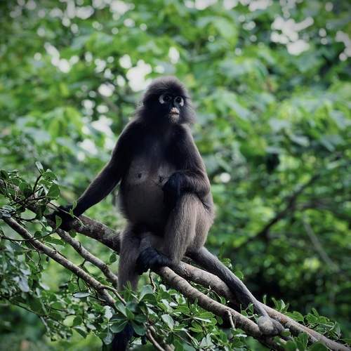 Photo #10661714