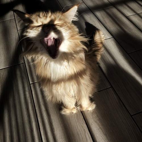 Photo #10661939