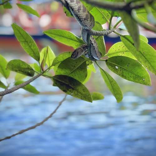 Photo #10661958