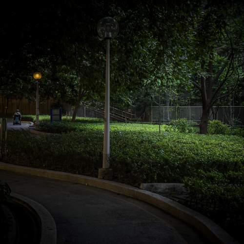 Photo #10662033