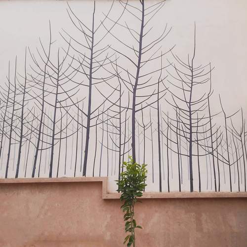 Photo #10662074