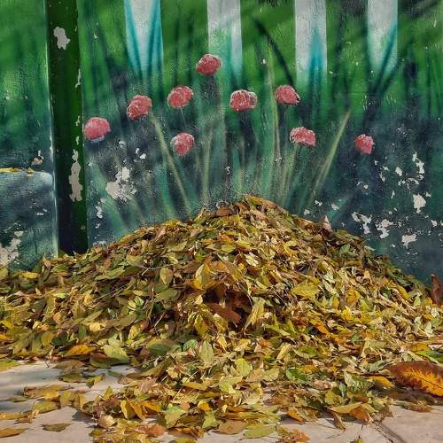 Photo #10662095