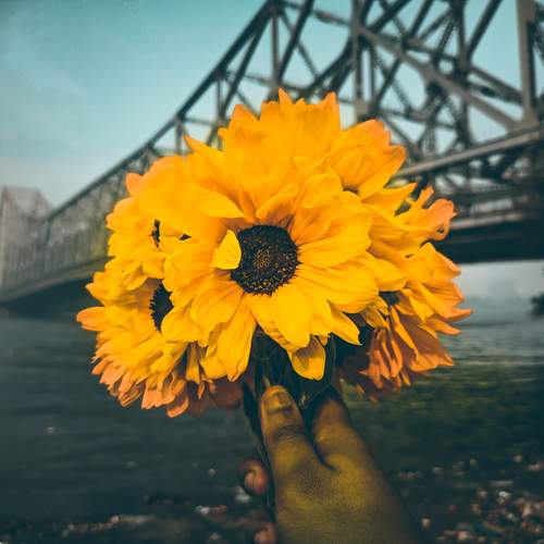 Photo #10662113