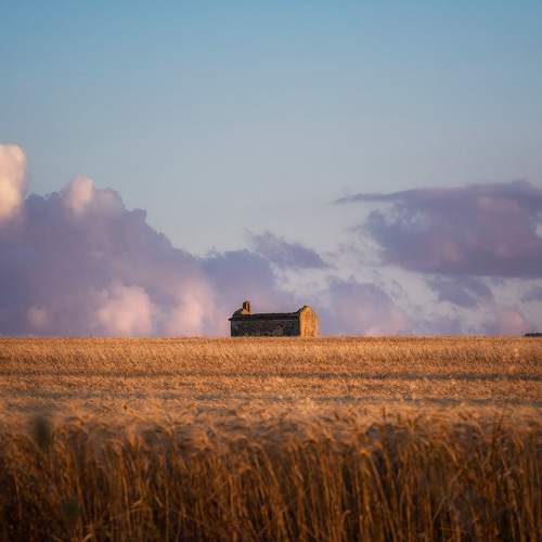 Photo #10662165