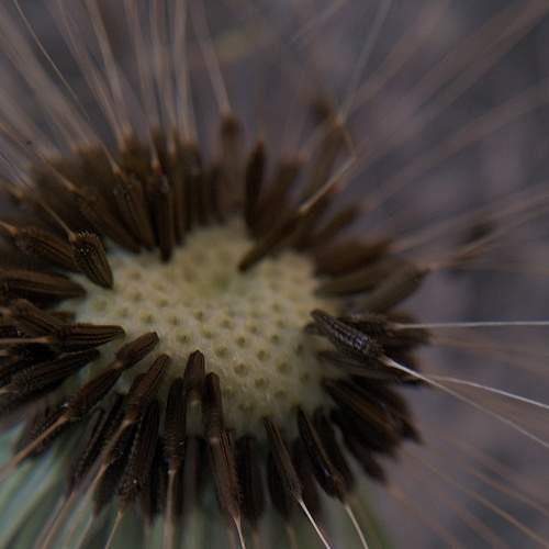 Photo #10662308
