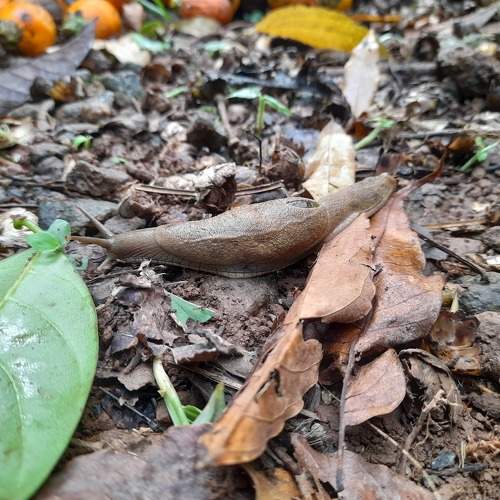 Photo #10662462