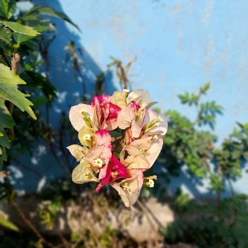 Photo #10662463