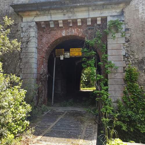 Photo #10662545