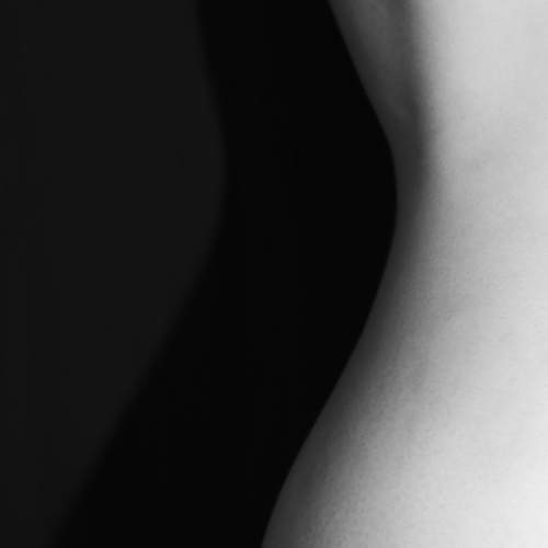 Photo #10662553