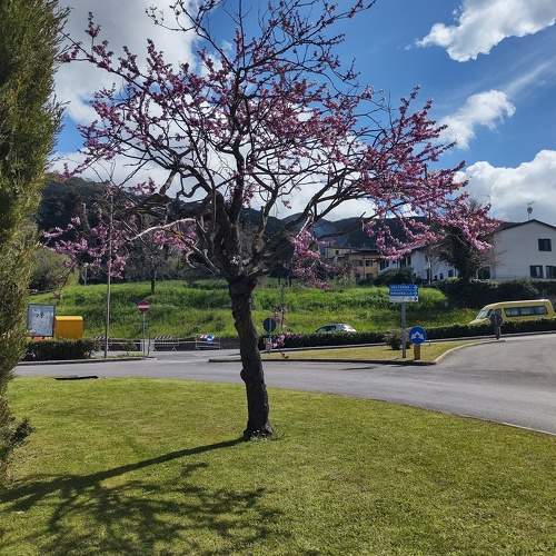 Photo #10662573