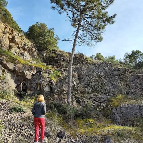 Photo #10662575