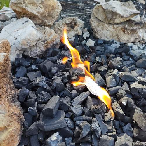 Photo #10662598