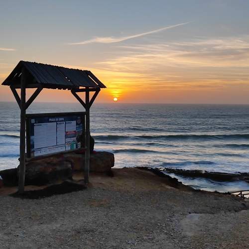Photo #10662631
