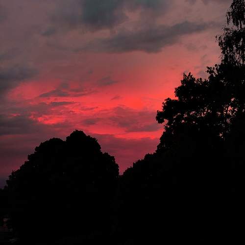 Photo #10662902