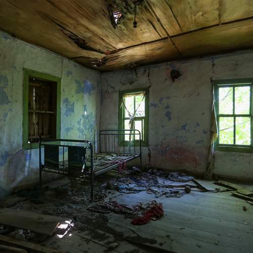 Фотография #10663005