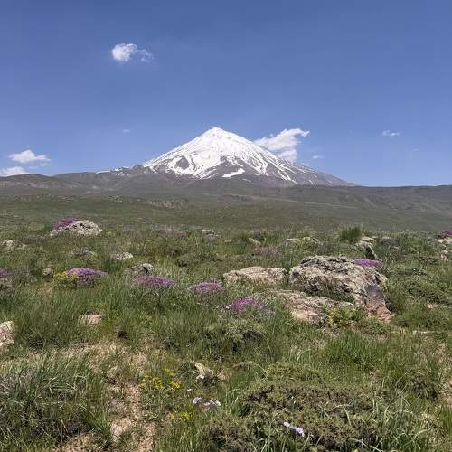 Photo #10663121