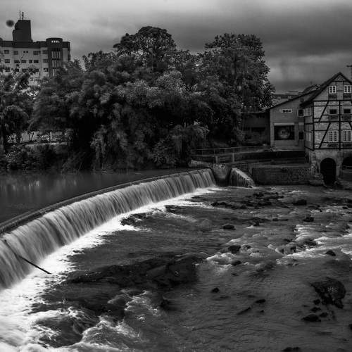 Photo #10663354