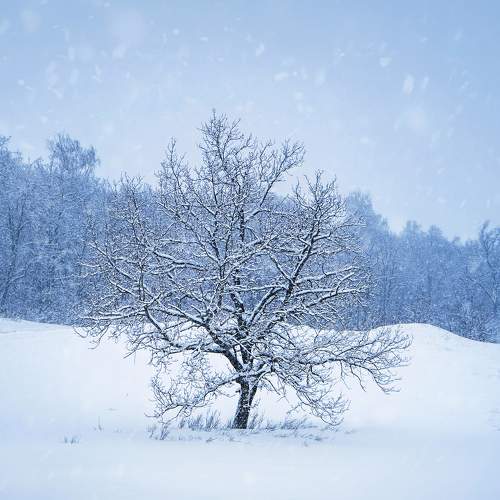 Photo #10663663