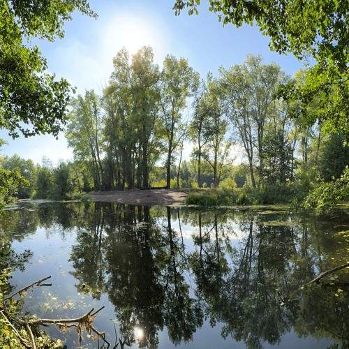 Photo #10663677