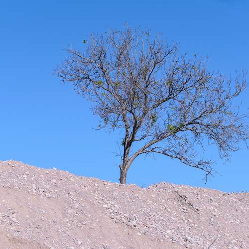 Photo #10664347