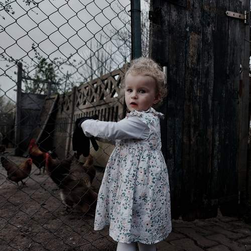 Photo #10664364