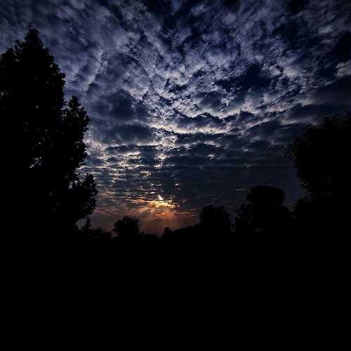 Photo #10664581