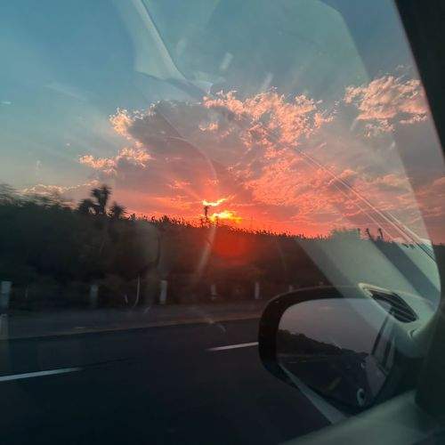 Photo #10664583